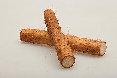 《新VR战士》确定不采用客串角色 将强化剧情叙事